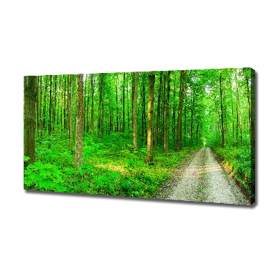 Quadro stampa su tela Alberi nella foresta
