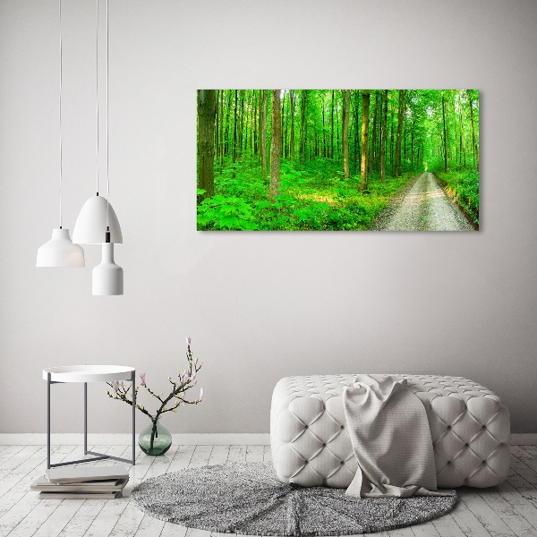 Quadro stampa su tela Alberi nella foresta