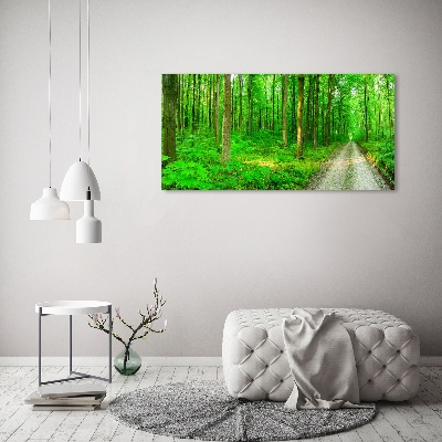Quadro stampa su tela Alberi nella foresta