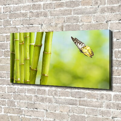 Quadro su tela Bambù e farfalla