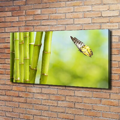 Quadro su tela Bambù e farfalla