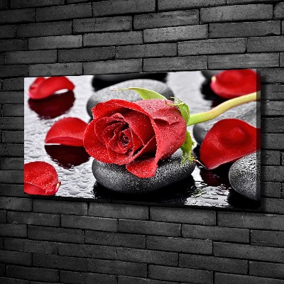 Foto quadro su tela Rosa rossa