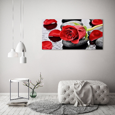 Foto quadro su tela Rosa rossa