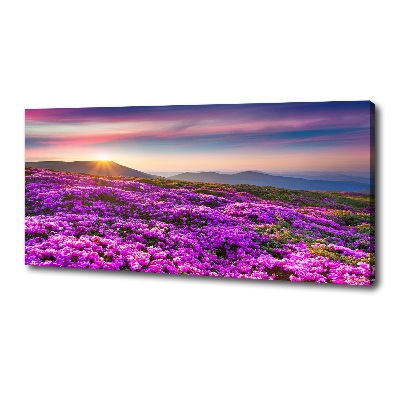 Quadro su tela Fiori in montagna
