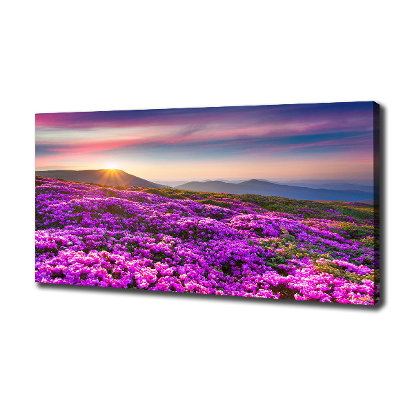Quadro su tela Fiori in montagna