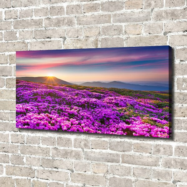 Quadro su tela Fiori in montagna