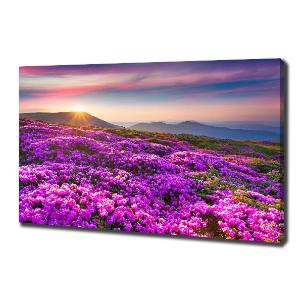 Quadro su tela Fiori in montagna