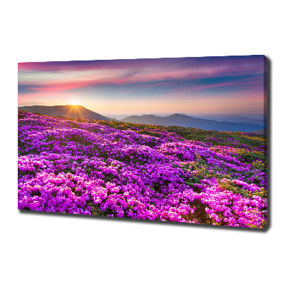 Quadro su tela Fiori in montagna