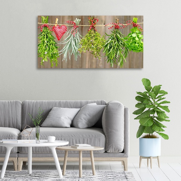 Foto quadro su tela Erbe aromatiche su un filo