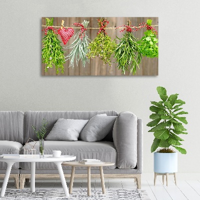 Foto quadro su tela Erbe aromatiche su un filo