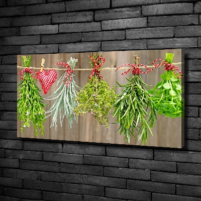 Foto quadro su tela Erbe aromatiche su un filo