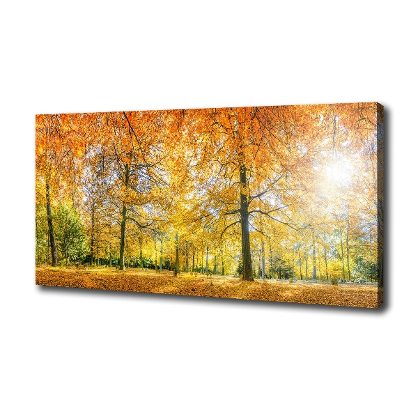 Quadro su tela Foresta in autunno
