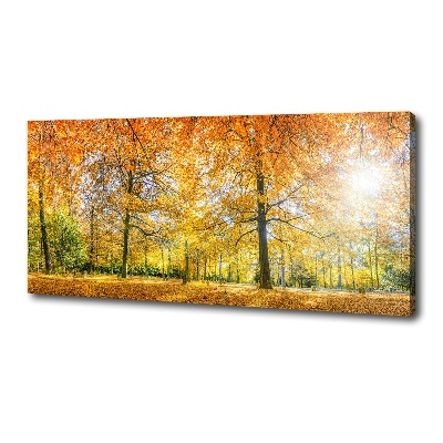 Quadro su tela Foresta in autunno