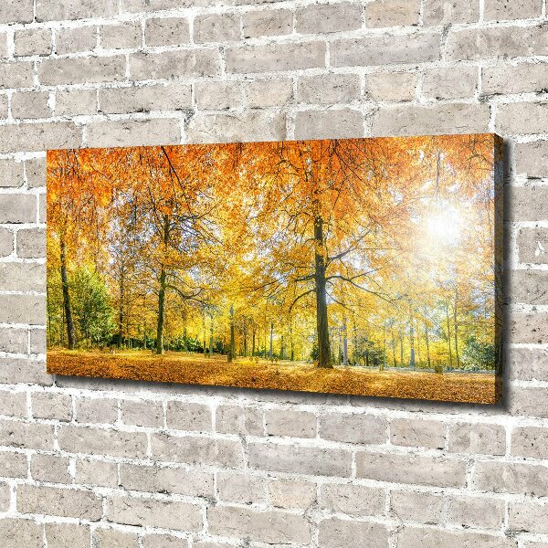 Quadro su tela Foresta in autunno