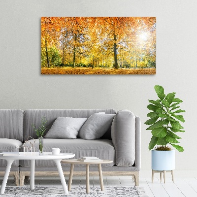 Quadro su tela Foresta in autunno