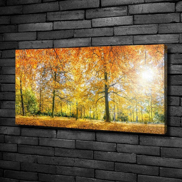 Quadro su tela Foresta in autunno