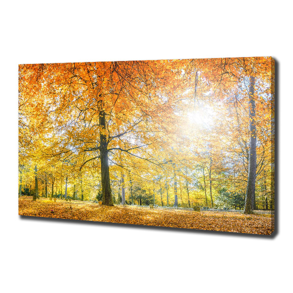 Quadro su tela Foresta in autunno