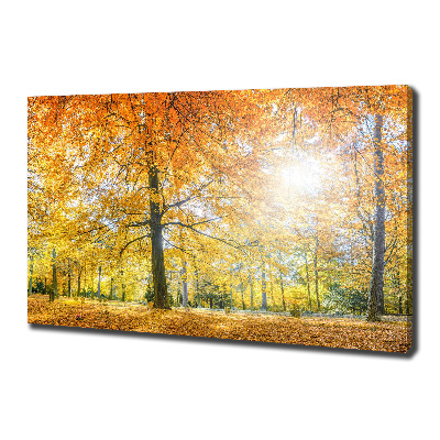 Quadro su tela Foresta in autunno