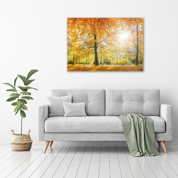 Quadro su tela Foresta in autunno