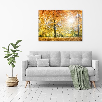 Quadro su tela Foresta in autunno