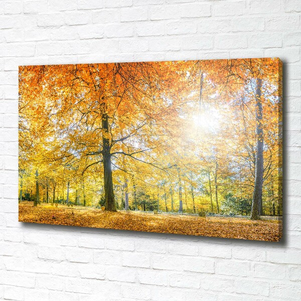 Quadro su tela Foresta in autunno