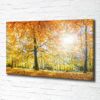 Quadro su tela Foresta in autunno