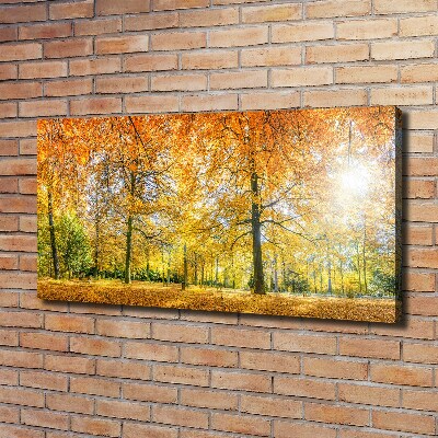Quadro su tela Foresta in autunno