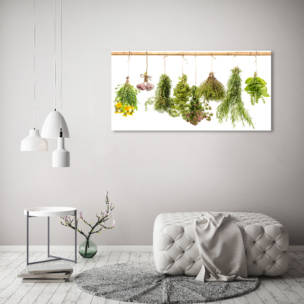 Quadro su tela Erbe aromatiche su un filo