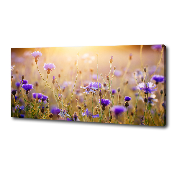 Quadro stampa su tela Fiori selvatici