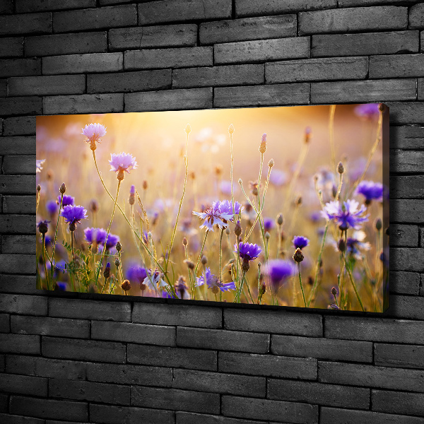 Quadro stampa su tela Fiori selvatici