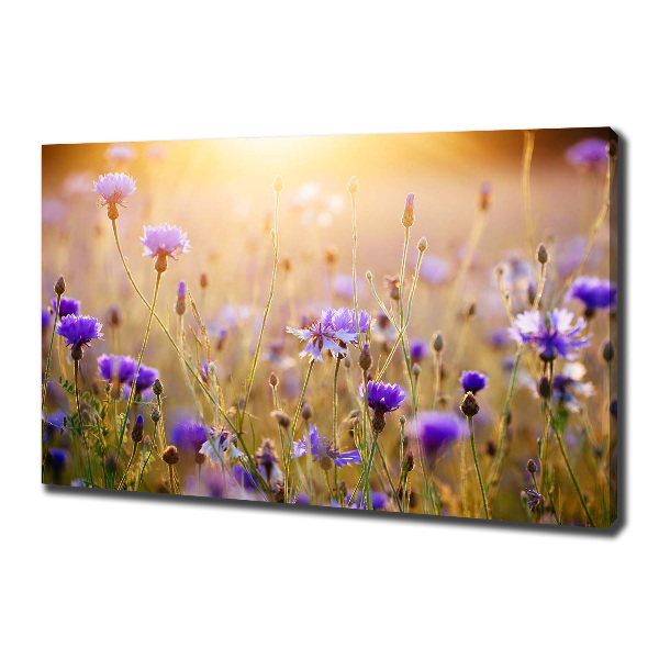 Quadro stampa su tela Fiori selvatici