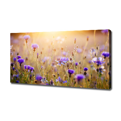 Quadro stampa su tela Fiori selvatici