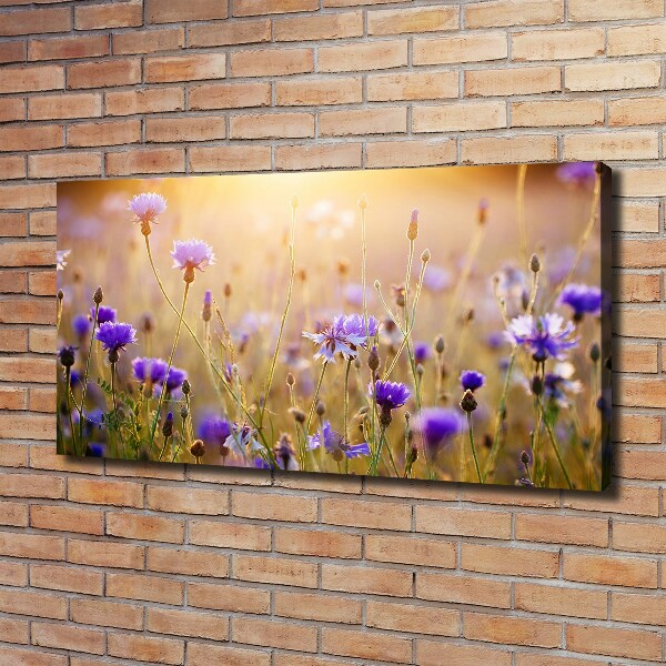 Quadro stampa su tela Fiori selvatici