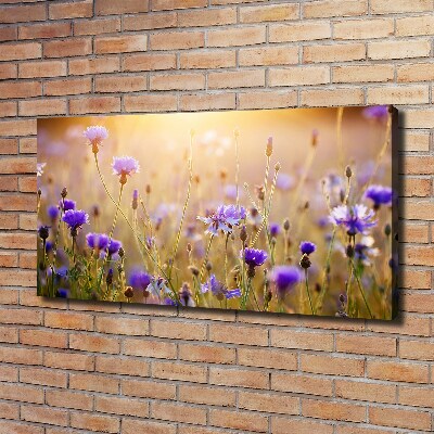 Quadro stampa su tela Fiori selvatici
