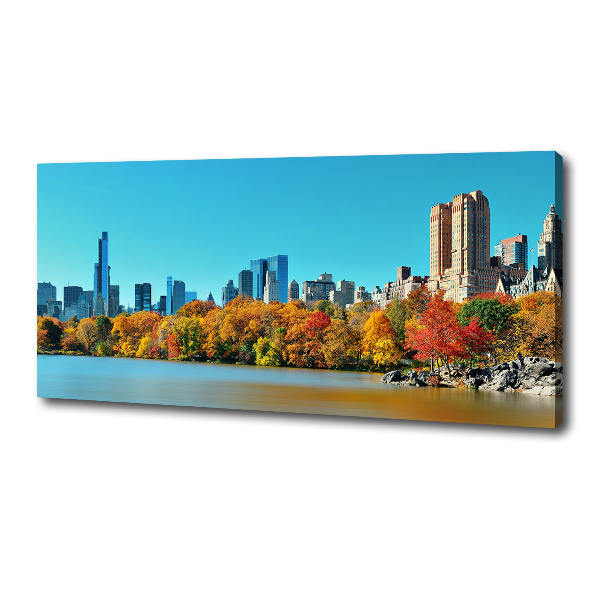 Quadro su tela New York in autunno