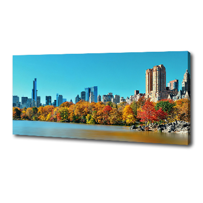 Quadro su tela New York in autunno