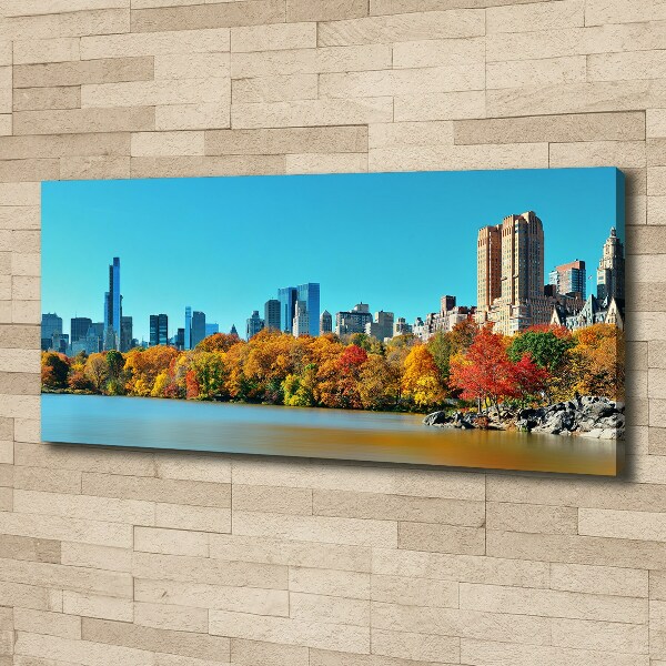 Quadro su tela New York in autunno