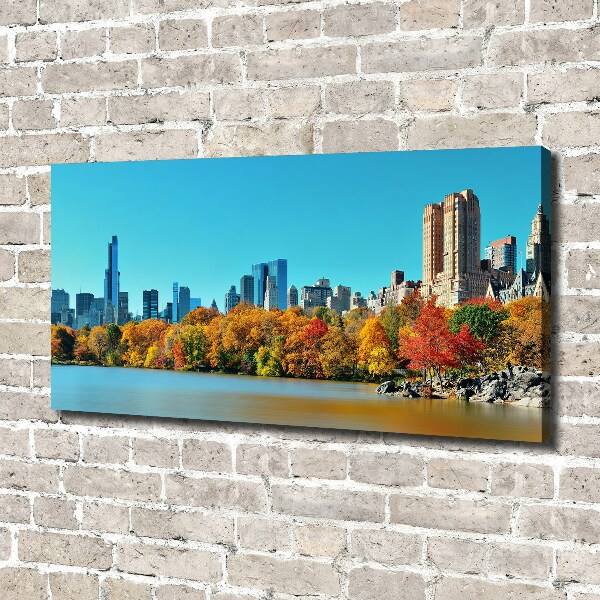 Quadro su tela New York in autunno