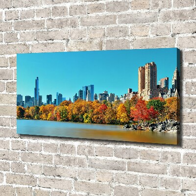 Quadro su tela New York in autunno