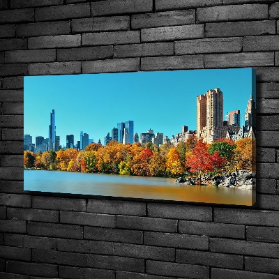 Quadro su tela New York in autunno