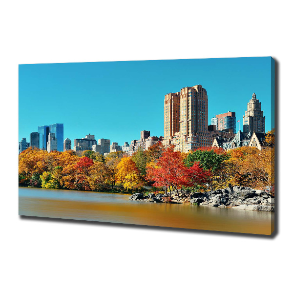 Quadro su tela New York in autunno
