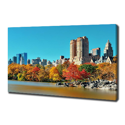 Quadro su tela New York in autunno