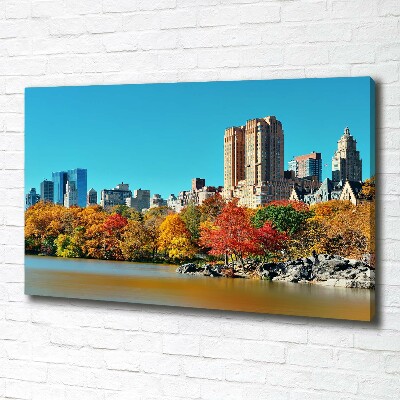 Quadro su tela New York in autunno