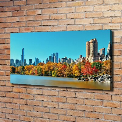 Quadro su tela New York in autunno