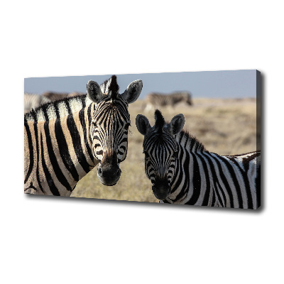 Quadro su tela Due zebre