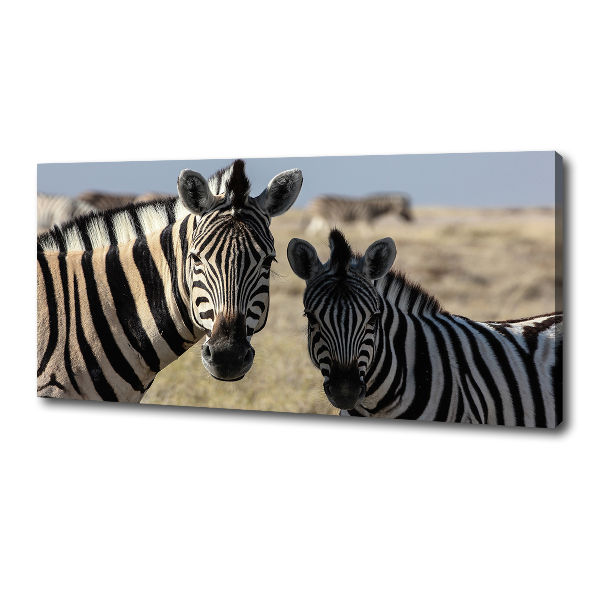 Quadro su tela Due zebre