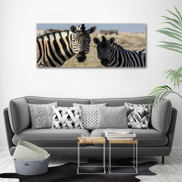 Quadro su tela Due zebre