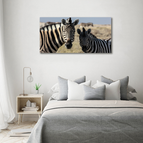 Quadro su tela Due zebre