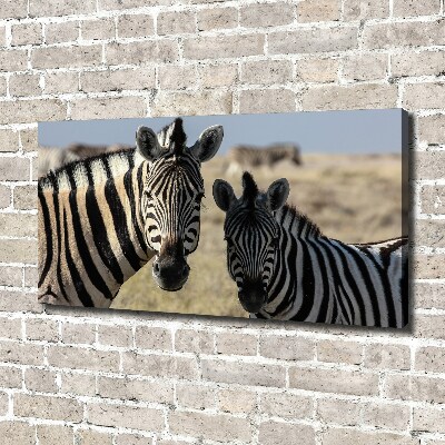 Quadro su tela Due zebre
