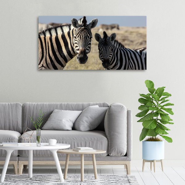 Quadro su tela Due zebre